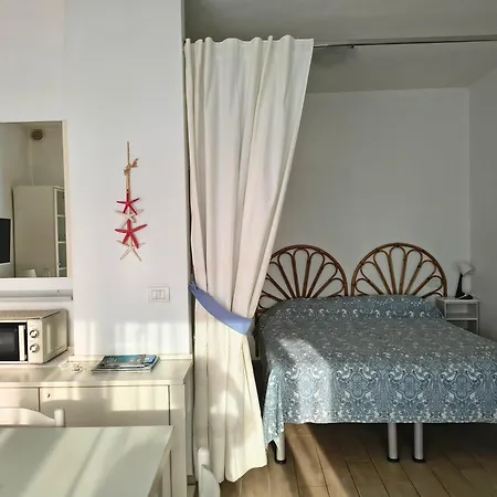 Il Riccio Di Mare