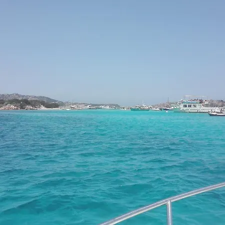 Il Riccio Di Mare Palau
